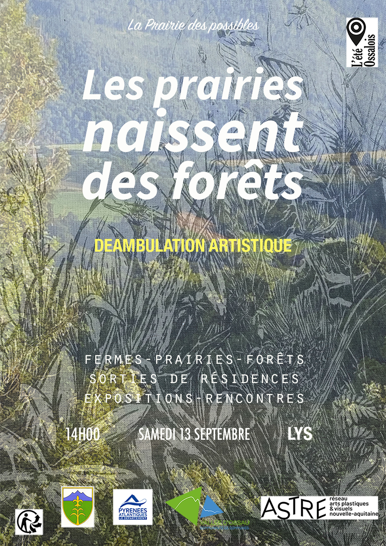 Les prairies naissent des forets 1 150