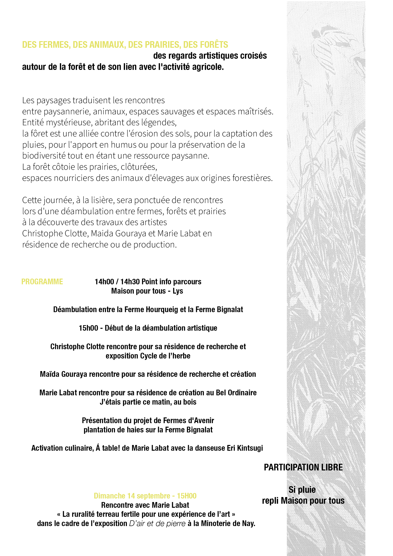 Les prairies naissent des forets 2 200